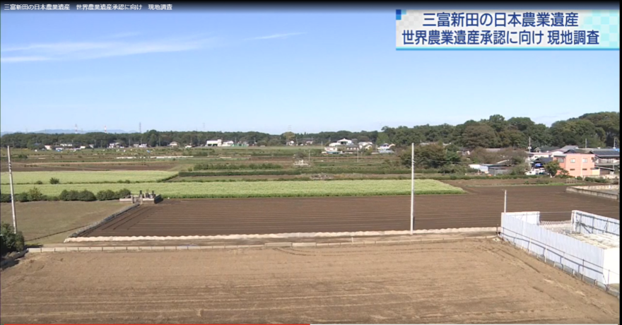 三富新田の日本農業遺産　世界農業遺産承認に向け現地調査