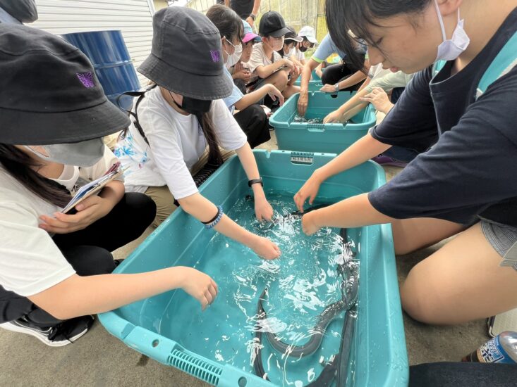 『うなじぃ調査隊！いま、浦和のうなぎに何が起きている？！』2日目