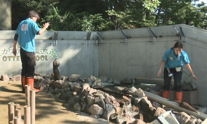 地元自慢！海なし県・埼玉の「さいたま水族館」