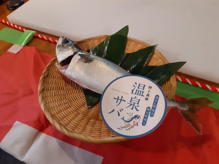 祝！埼玉県産サバ出荷イベント✨白寿の湯