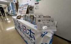 県庁オープンデー1