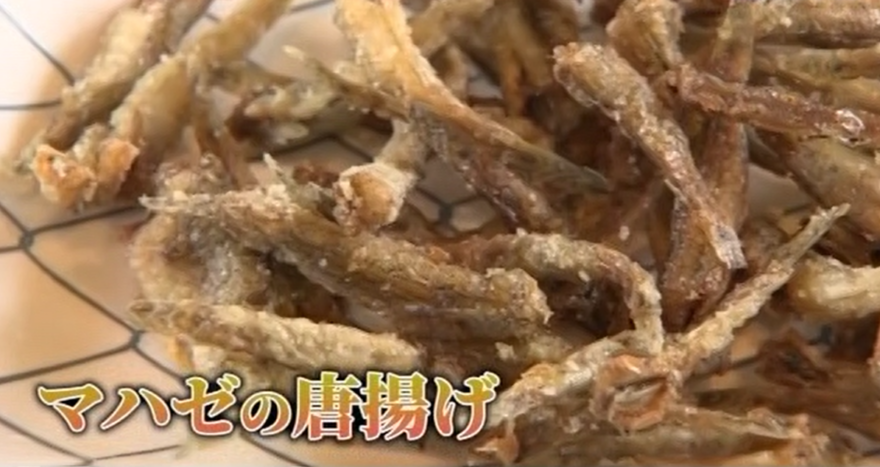 埼玉の川と海をつなぐ魚・マハゼについて②🐟