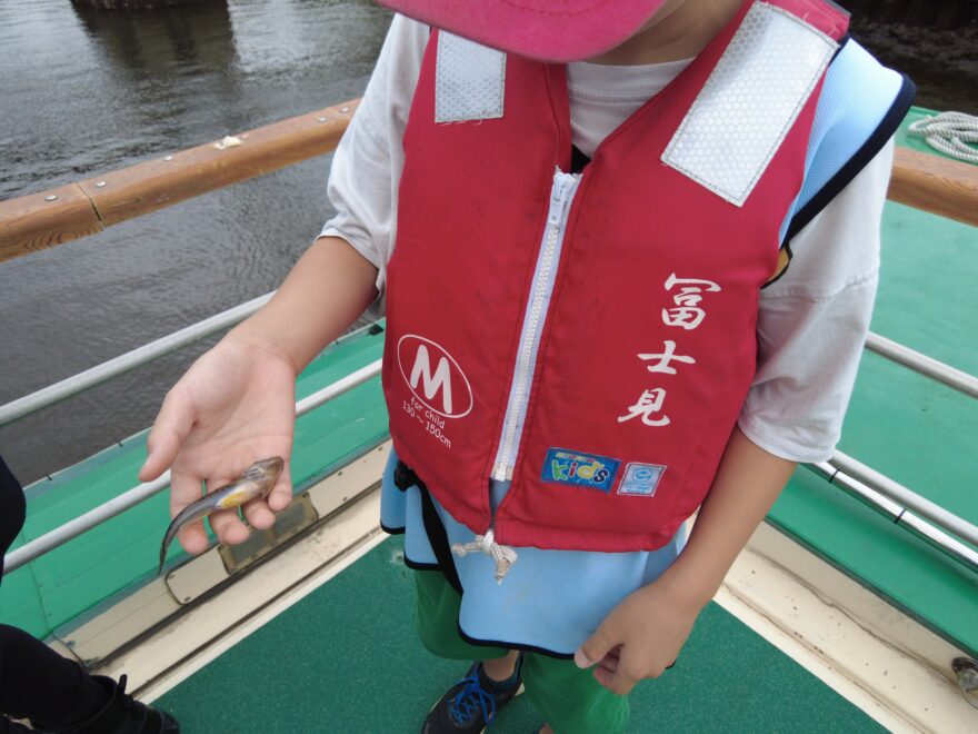 埼玉スタッフ中村　『マハゼ調査隊』レポート🐡後編