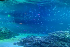 埼玉スタッフ👨「マハゼ単独調査」レポート🐠前編！