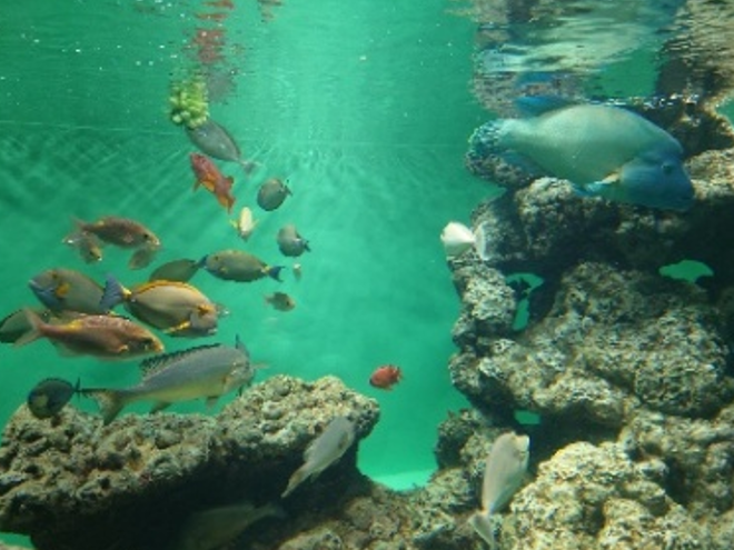 埼玉スタッフ👨「マハゼ単独調査」レポート🐟後編！