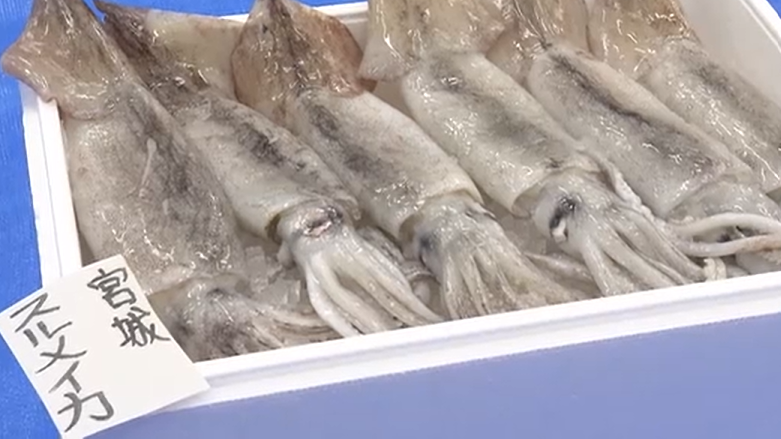【海なし県・埼玉県】塙保己一学園で魚介類に触れる体験学習🐟